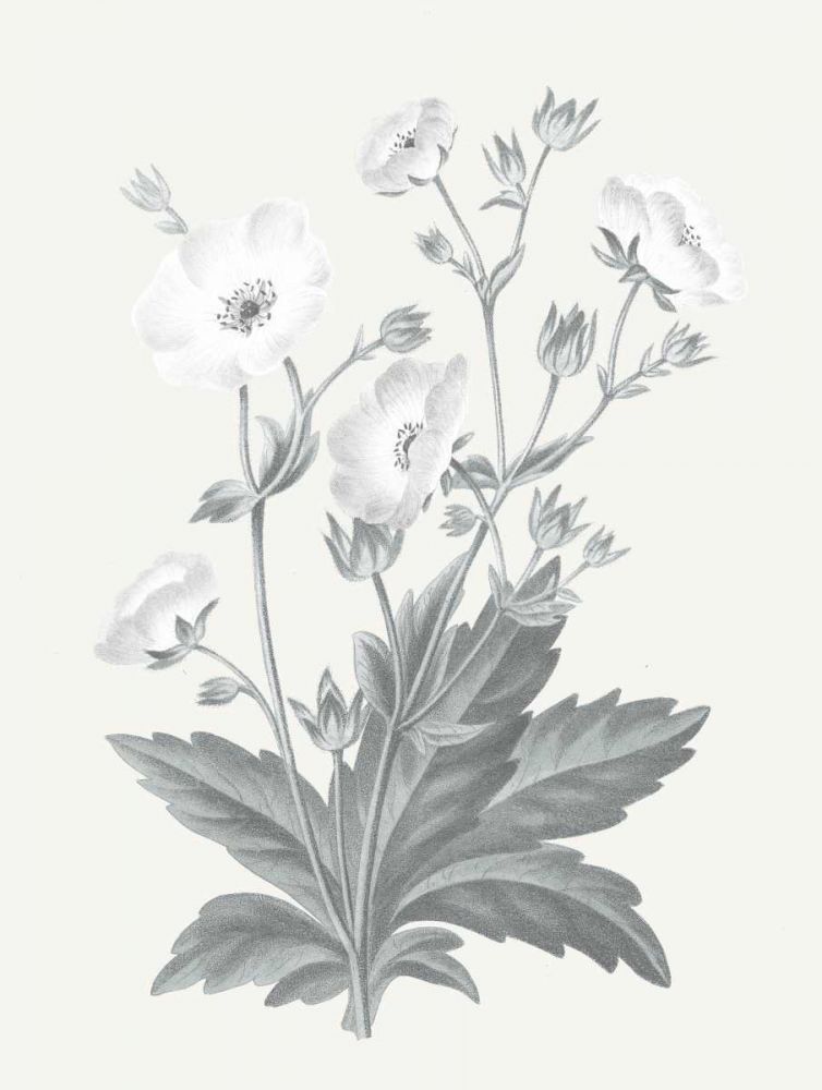 Neutral Botanical VI art print by Wild Apple Portfolio for $57.95 CAD