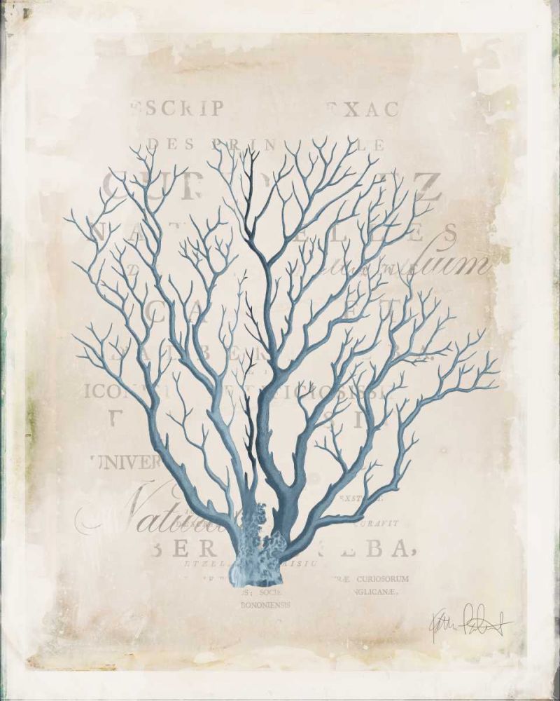 Sea Garden V art print by Katie Pertiet for $57.95 CAD