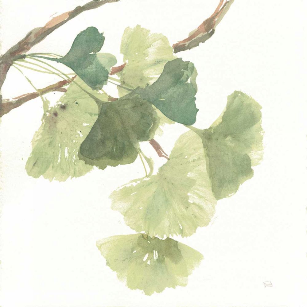 Gingko Leaves I on White art print by Chris Paschke for $57.95 CAD