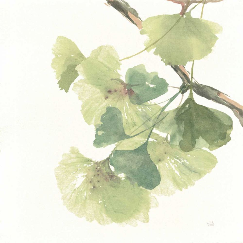 Gingko Leaves II on White art print by Chris Paschke for $57.95 CAD