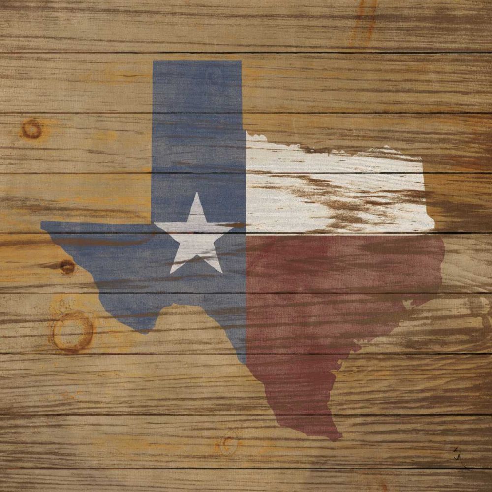 Lone Star art print by Sarah Adams for $57.95 CAD