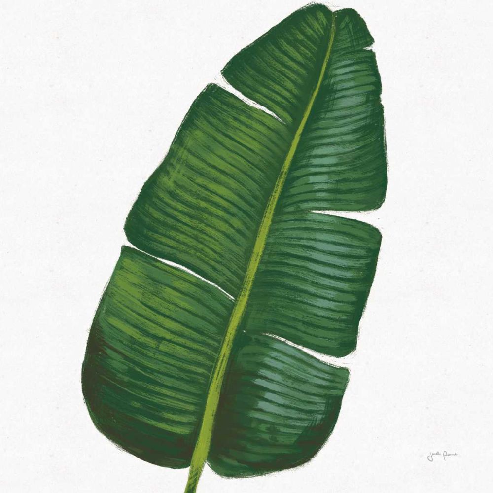 Welcome to Paradise XV on White art print by Janelle Penner for $57.95 CAD