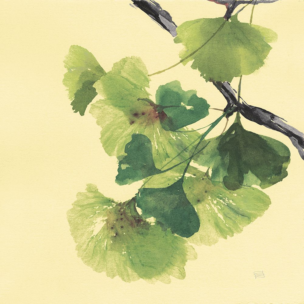Gingko Leaves II Dark art print by Chris Paschke for $57.95 CAD