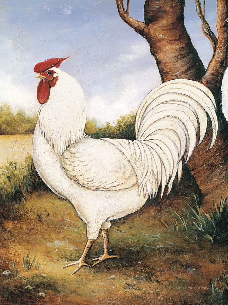 Arthur art print by David Carter Brown for $57.95 CAD