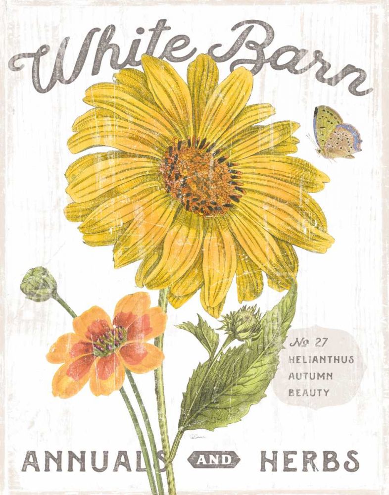 White Barn Flowers I art print by Sue Schlabach for $57.95 CAD