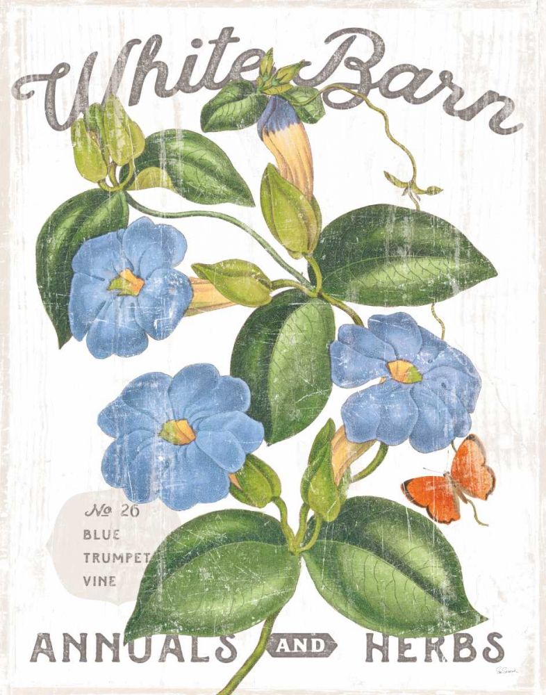 White Barn Flowers II art print by Sue Schlabach for $57.95 CAD