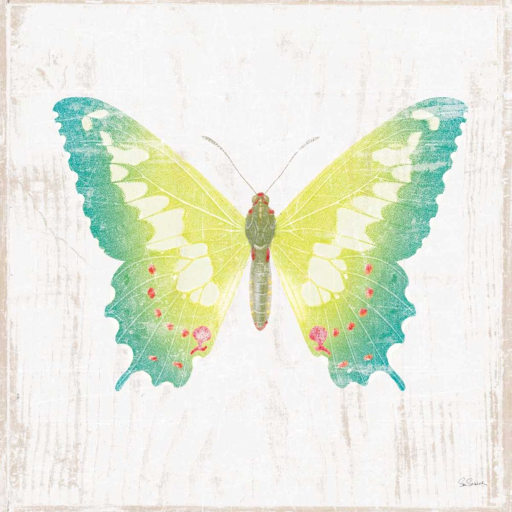 White Barn Butterflies III art print by Sue Schlabach for $57.95 CAD
