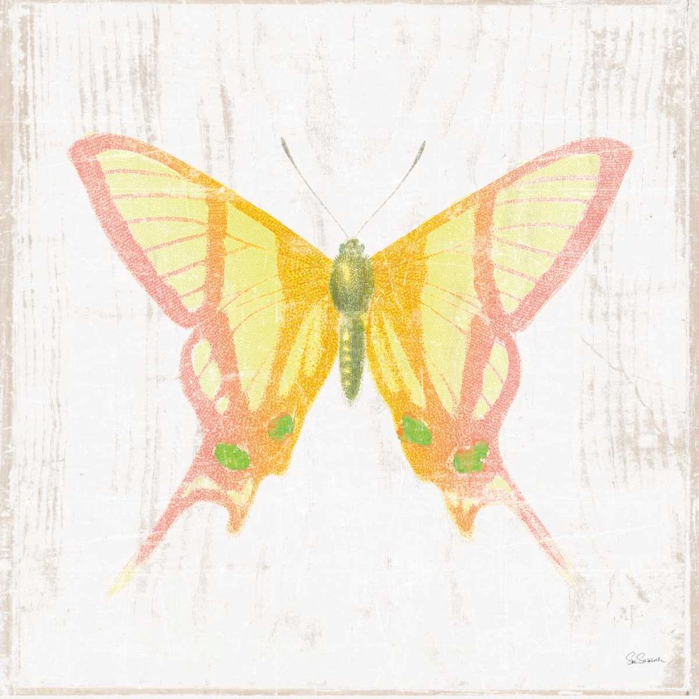 White Barn Butterflies IV art print by Sue Schlabach for $57.95 CAD
