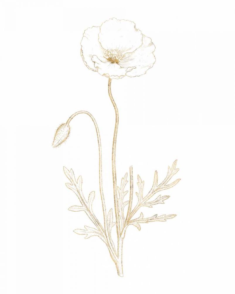Gilded Botanical I art print by Wild Apple Portfolio for $57.95 CAD