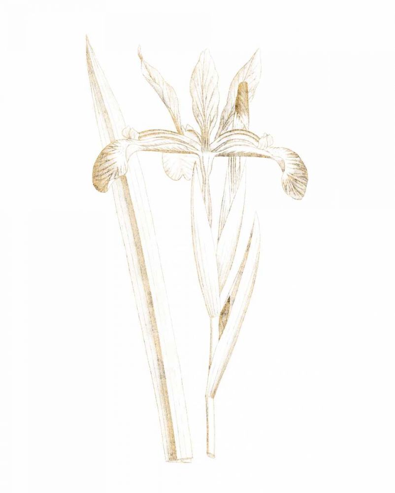 Gilded Botanical III art print by Wild Apple Portfolio for $57.95 CAD