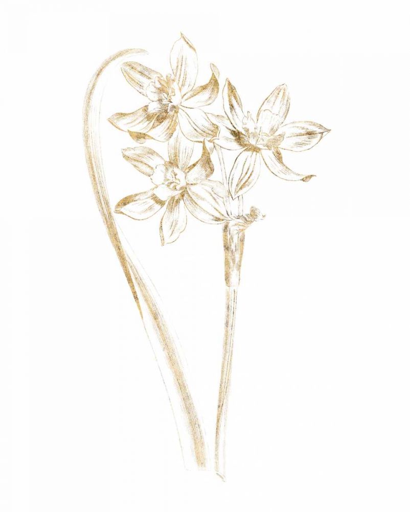 Gilded Botanical IV art print by Wild Apple Portfolio for $57.95 CAD
