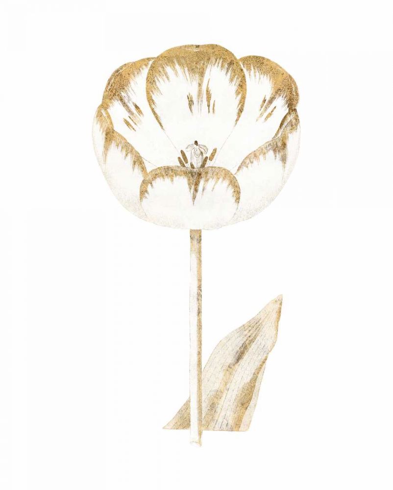 Gilded Botanical V art print by Wild Apple Portfolio for $57.95 CAD