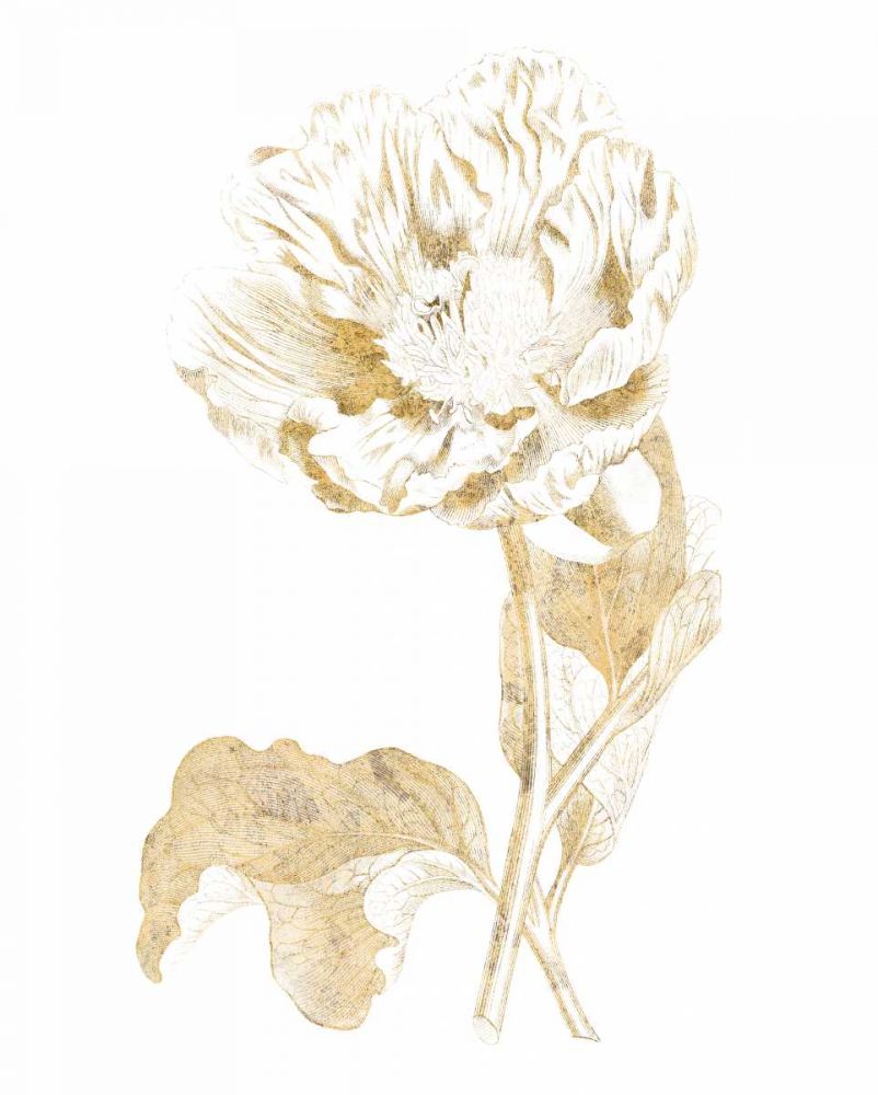 Gilded Botanical VII art print by Wild Apple Portfolio for $57.95 CAD
