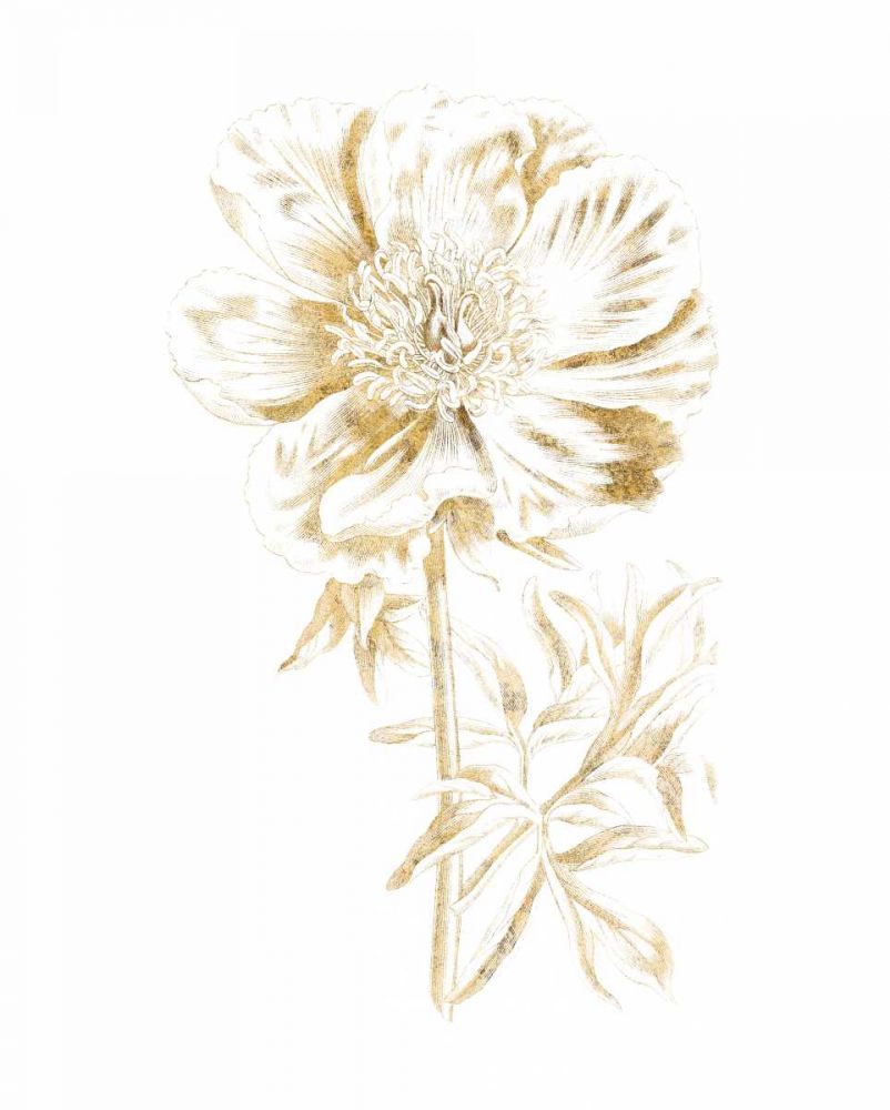 Gilded Botanical VIII art print by Wild Apple Portfolio for $57.95 CAD