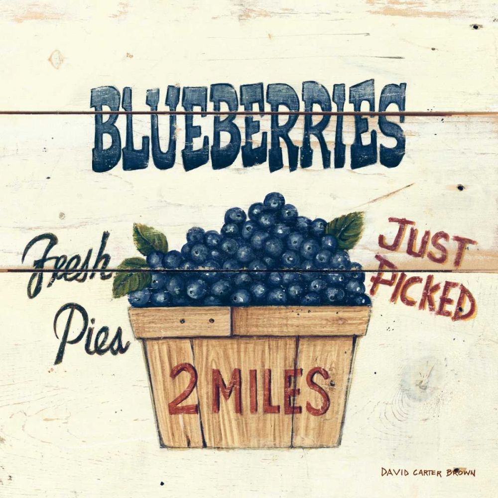 Blueberries Just Picked art print by David Carter Brown for $57.95 CAD