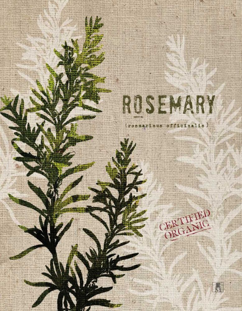 Organic Rosemary No Butterfly art print by Studio Mousseau for $57.95 CAD