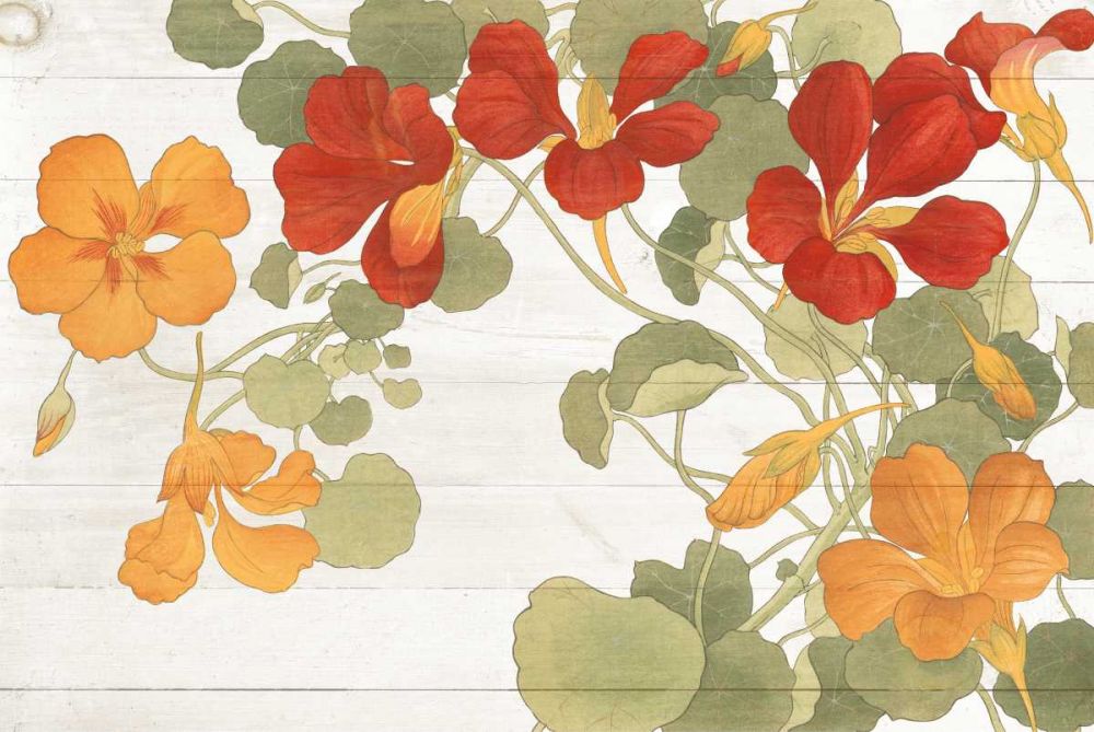 Summer Nasturtiums Cottage art print by Wild Apple Portfolio for $57.95 CAD