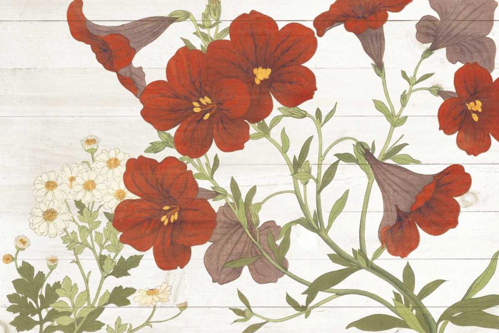 Summer Salpiglossis Cottage art print by Wild Apple Portfolio for $57.95 CAD