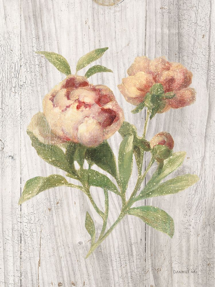 Scented Cottage Florals I art print by Danhui Nai for $57.95 CAD