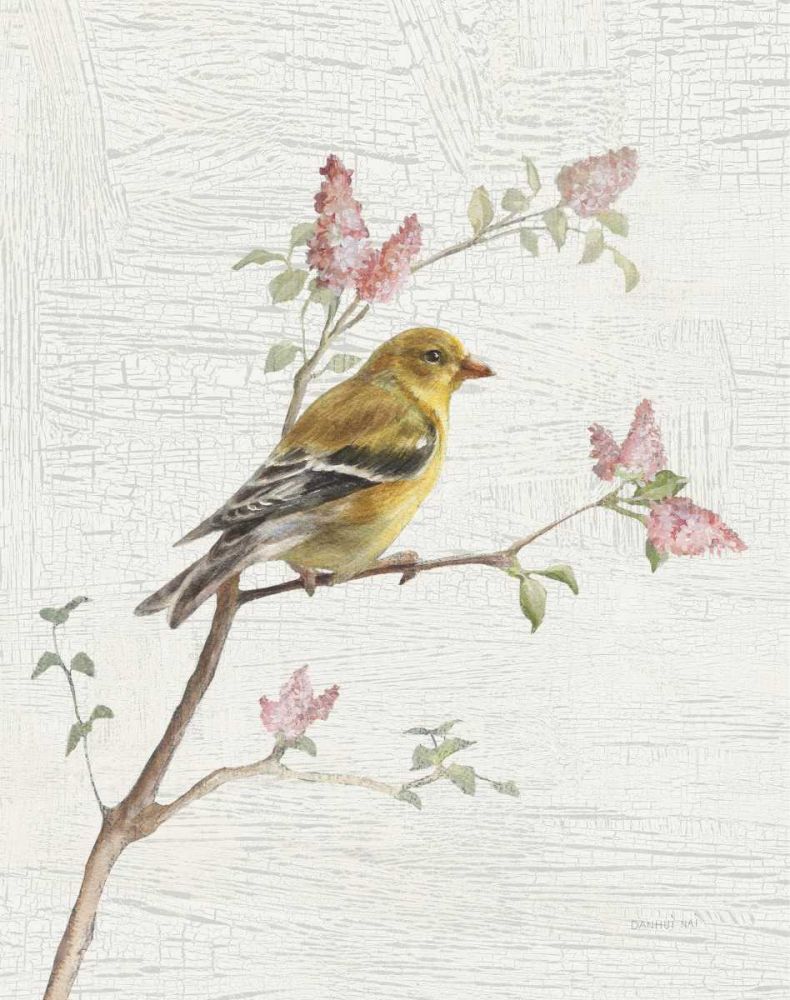 Female Goldfinch Vintage v2 art print by Danhui Nai for $57.95 CAD