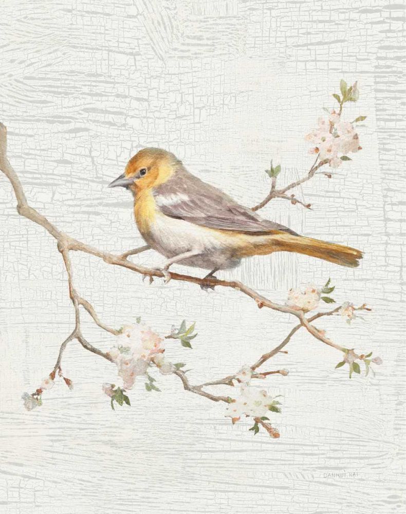 Northern Oriole Vintage v2 art print by Danhui Nai for $57.95 CAD