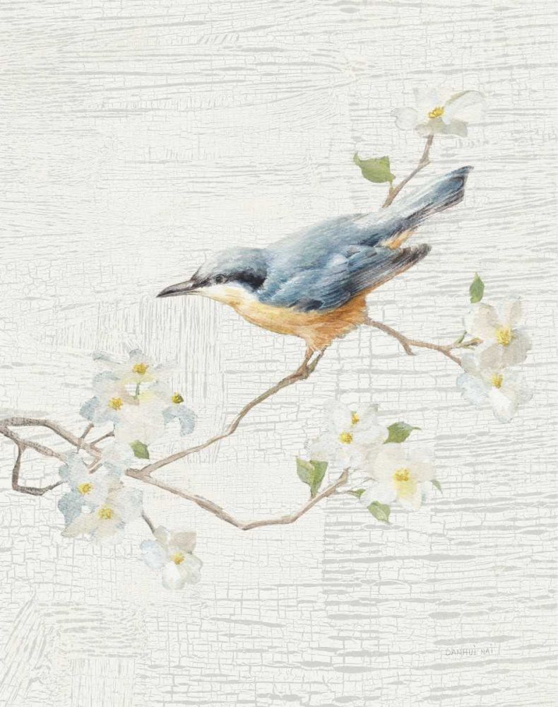 Nuthatch Vintage v2 art print by Danhui Nai for $57.95 CAD