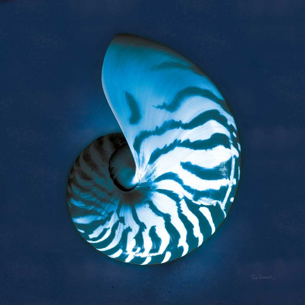Cyanotype Sea I art print by Sue Schlabach for $57.95 CAD