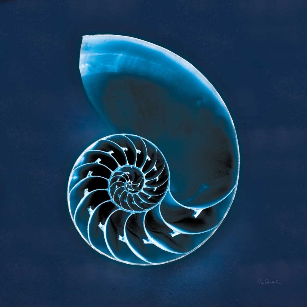 Cyanotype Sea II art print by Sue Schlabach for $57.95 CAD