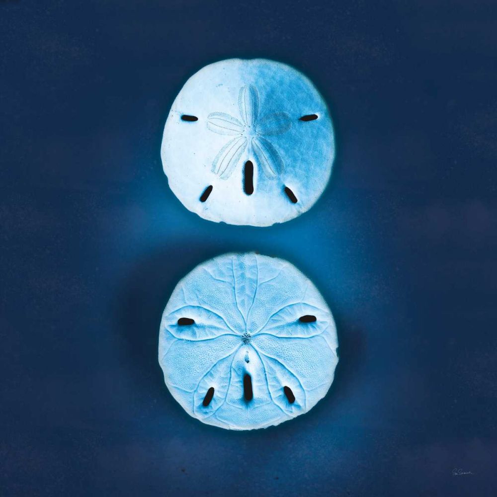 Cyanotype Sea IV art print by Sue Schlabach for $57.95 CAD