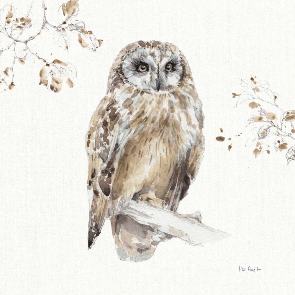 A Woodland Walk VIII art print by Lisa Audit for $57.95 CAD