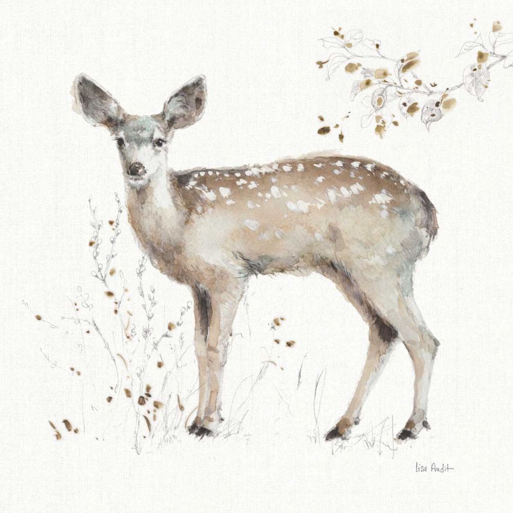 A Woodland Walk IX art print by Lisa Audit for $57.95 CAD