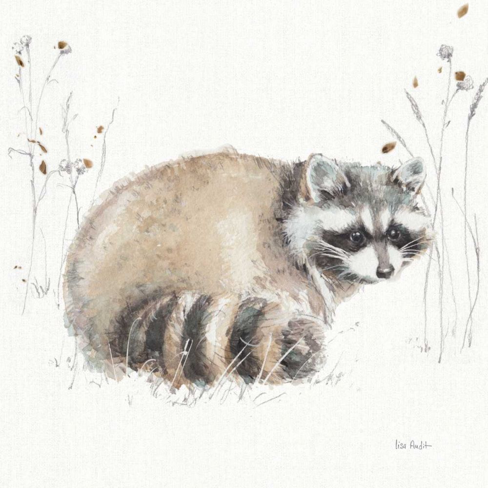 A Woodland Walk X art print by Lisa Audit for $57.95 CAD