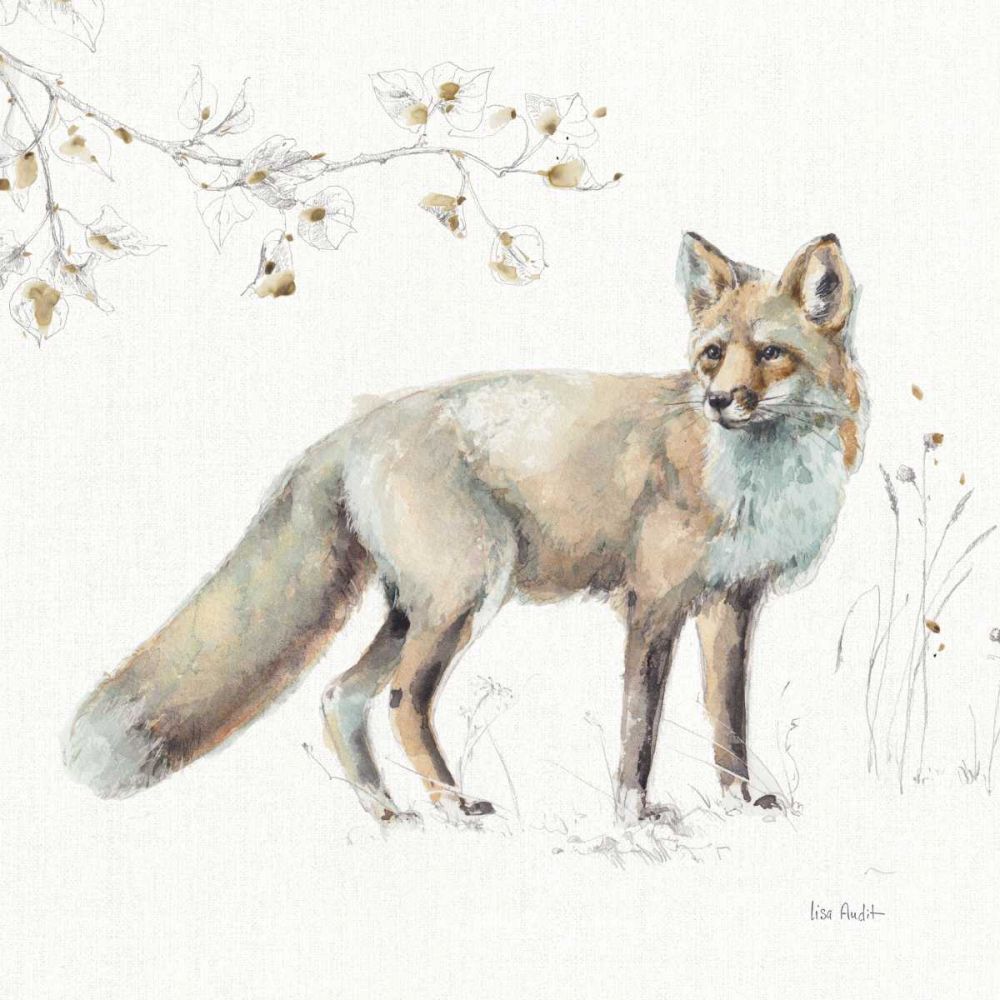 A Woodland Walk XI art print by Lisa Audit for $57.95 CAD