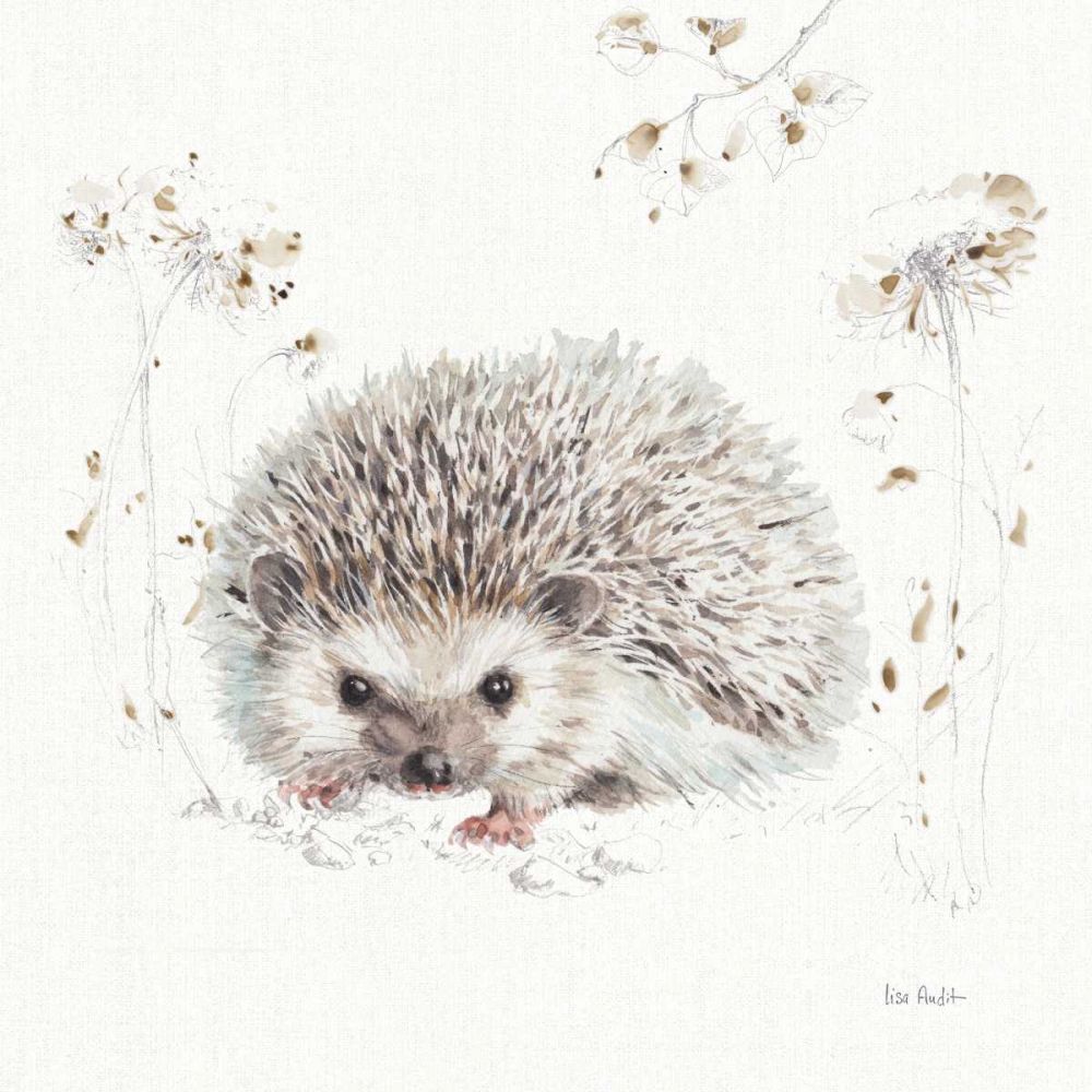 A Woodland Walk XII art print by Lisa Audit for $57.95 CAD