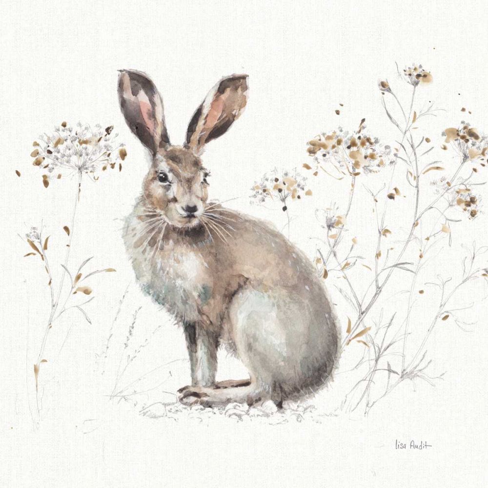 A Woodland Walk XIII art print by Lisa Audit for $57.95 CAD