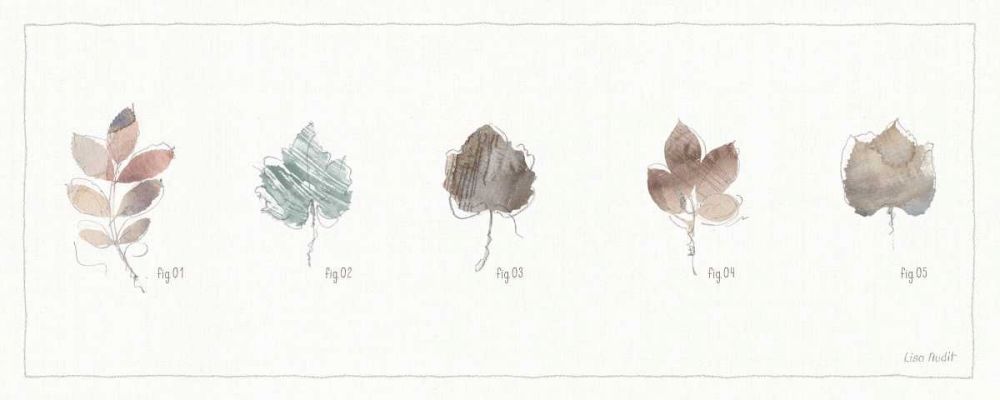 A Woodland Walk XIV art print by Lisa Audit for $57.95 CAD