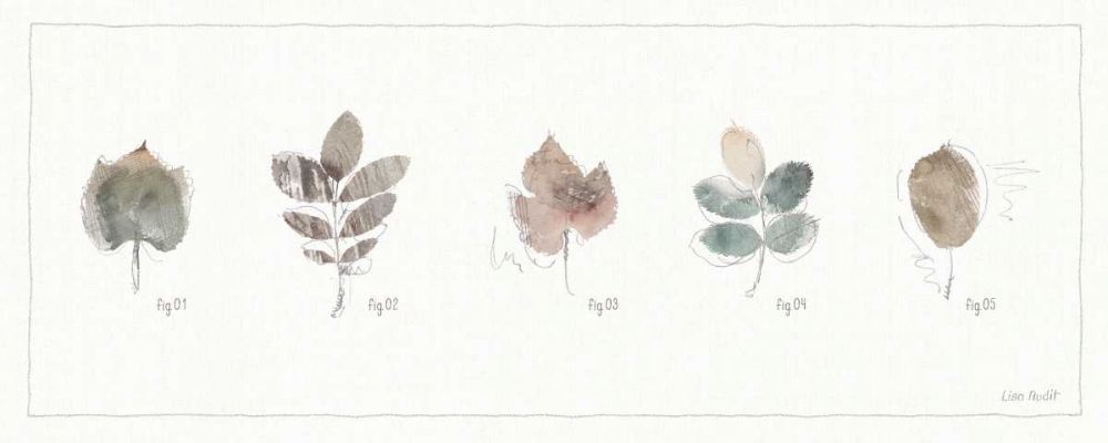 A Woodland Walk XV art print by Lisa Audit for $57.95 CAD