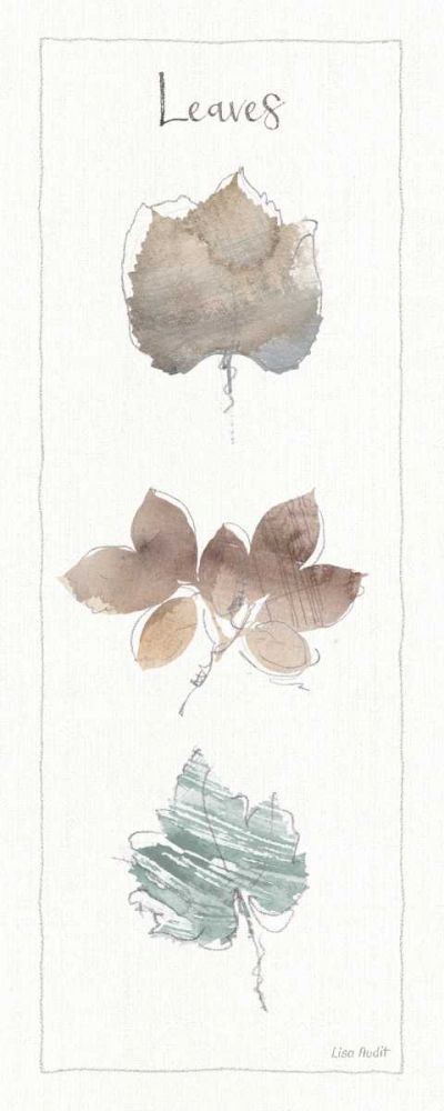 A Woodland Walk XVI art print by Lisa Audit for $57.95 CAD