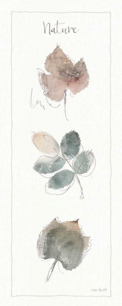 A Woodland Walk XVII art print by Lisa Audit for $57.95 CAD