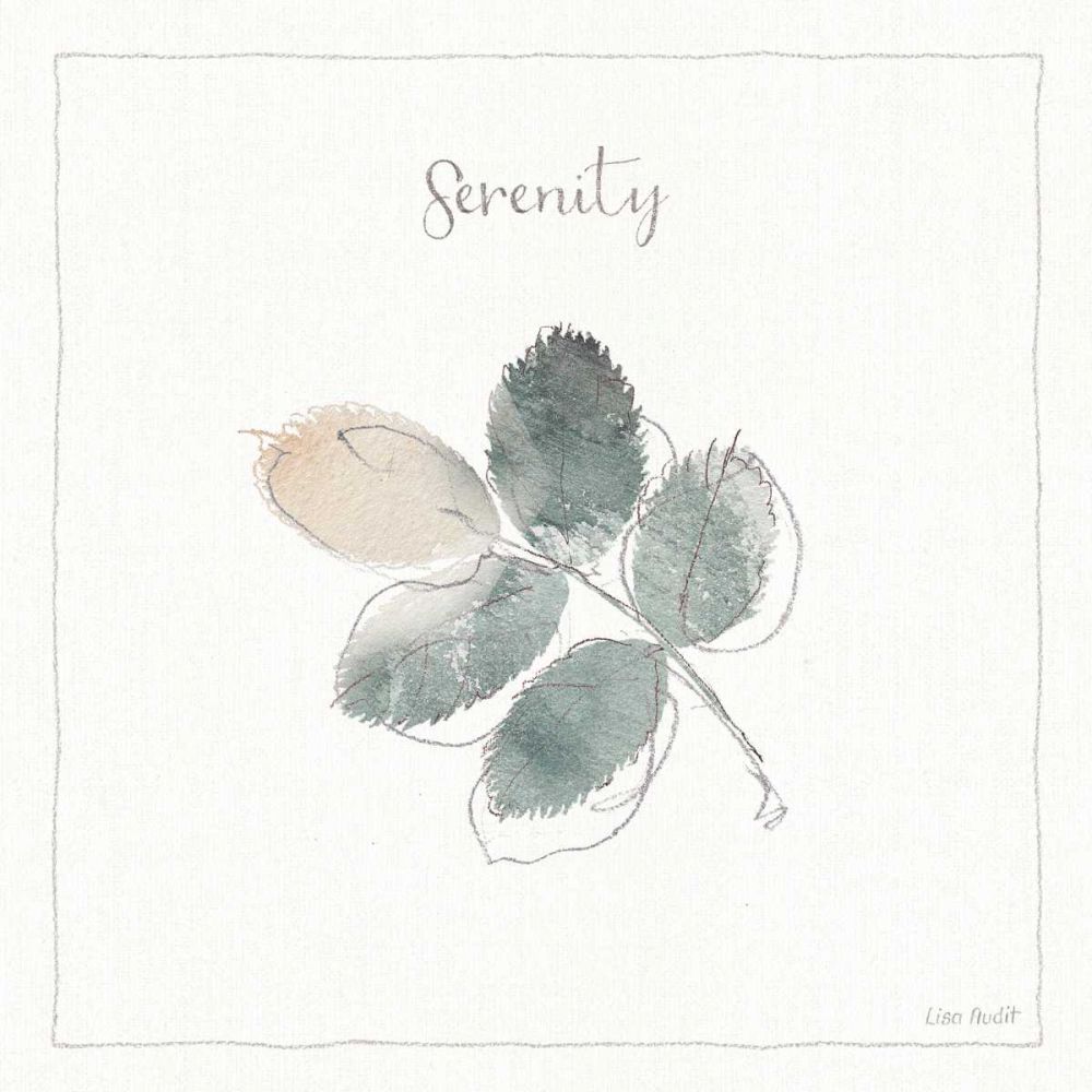 A Woodland Walk XVIII art print by Lisa Audit for $57.95 CAD