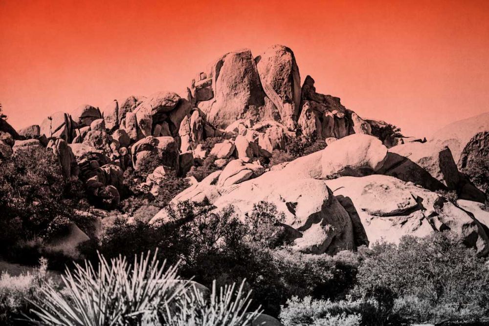 Ombre Adventure II art print by Elizabeth Urquhart for $57.95 CAD