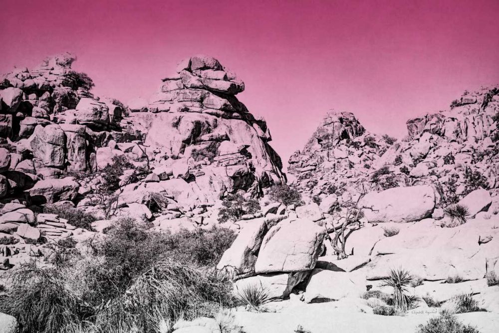 Ombre Adventure IV art print by Elizabeth Urquhart for $57.95 CAD