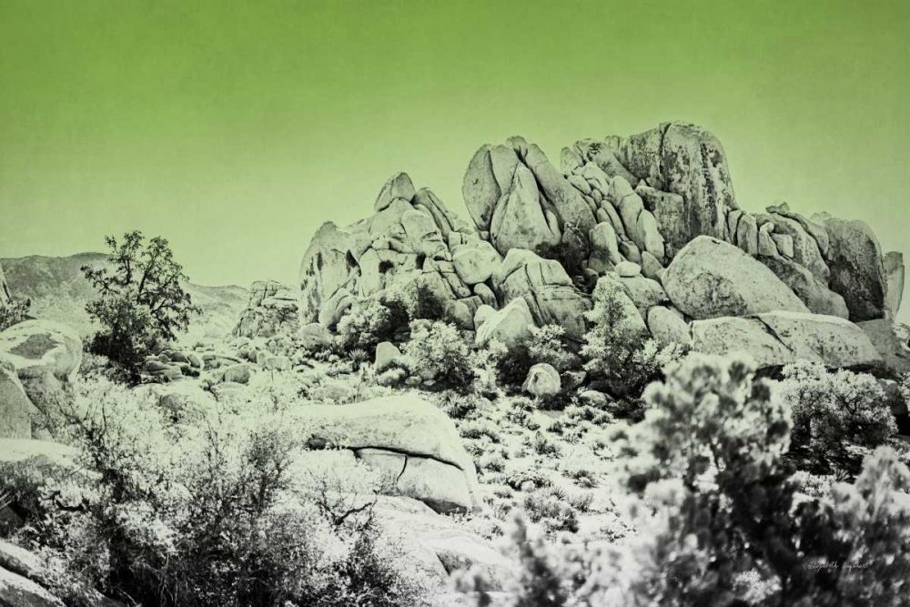 Ombre Adventure V art print by Elizabeth Urquhart for $57.95 CAD