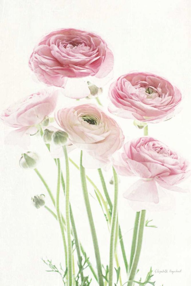 Light and Bright Floral V art print by Elizabeth Urquhart for $57.95 CAD