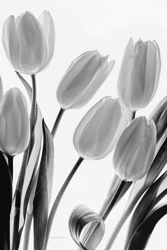 Shadows and Light I art print by Elizabeth Urquhart for $57.95 CAD