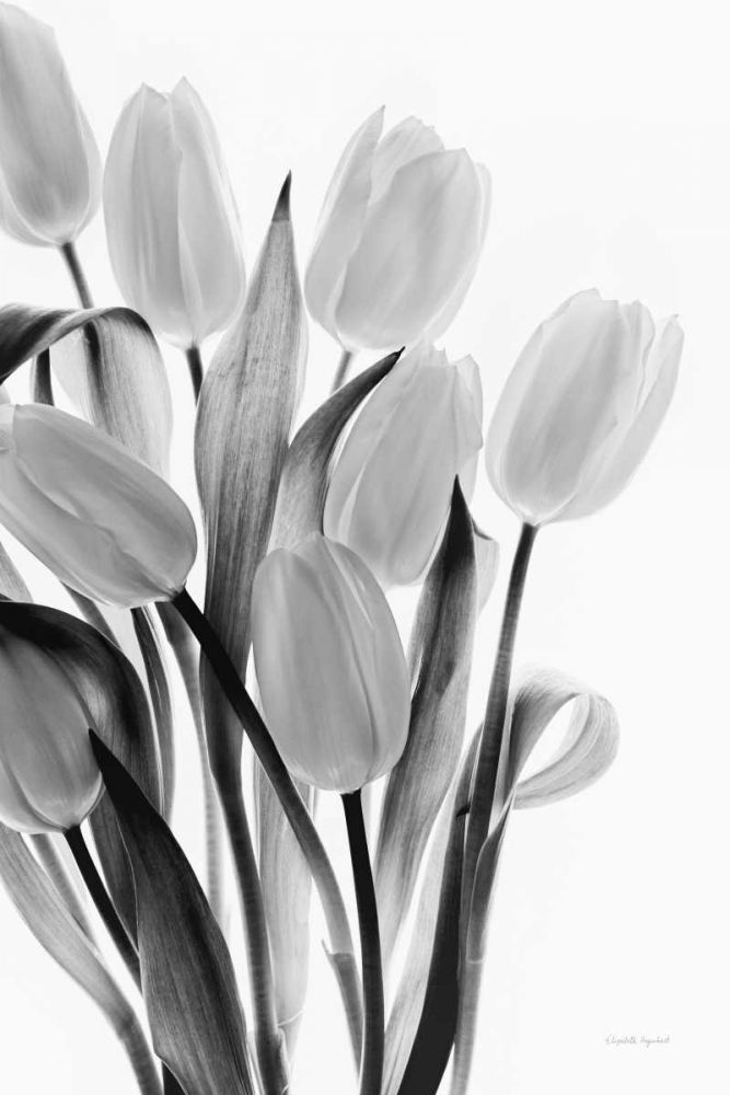 Shadows and Light II art print by Elizabeth Urquhart for $57.95 CAD