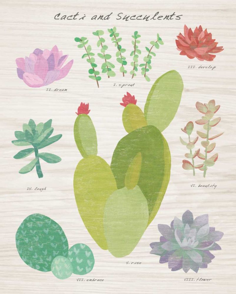 Succulent and Cacti Chart III on Wood art print by Wild Apple Portfolio for $57.95 CAD