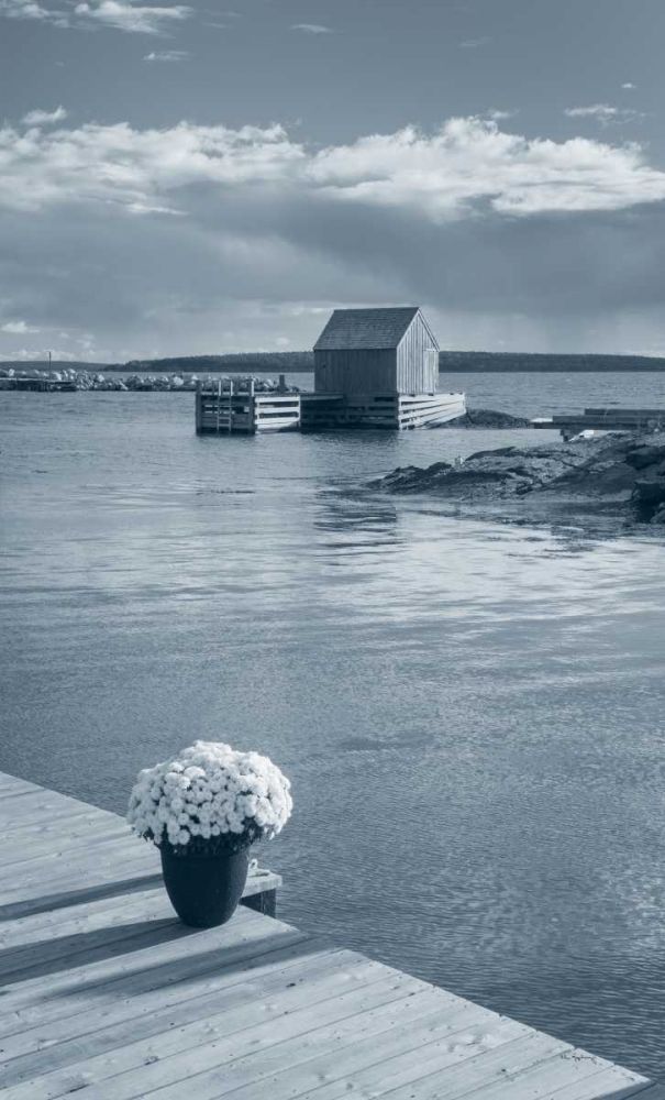 By the Sea III no Border art print by Lisa Audit for $57.95 CAD