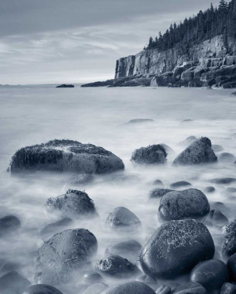 Acadia Coast Crop art print by Lisa Audit for $57.95 CAD