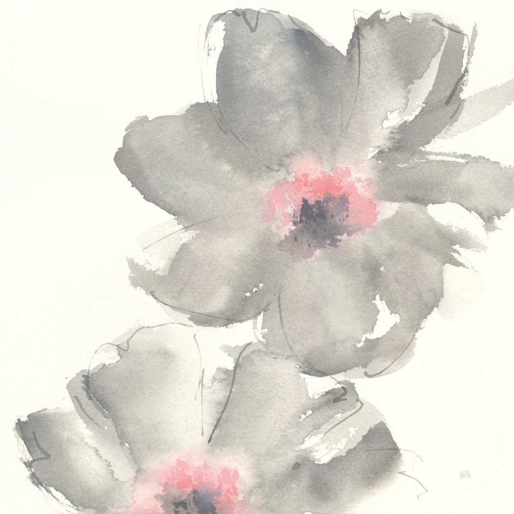 Gray Blush Cosmos II art print by Chris Paschke for $57.95 CAD